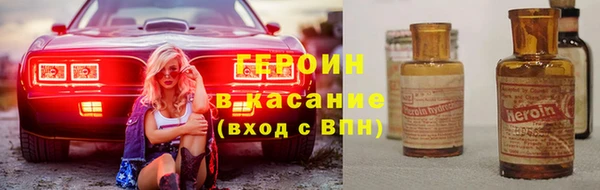 индика Вяземский